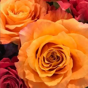 Meet your Posher, Denisse